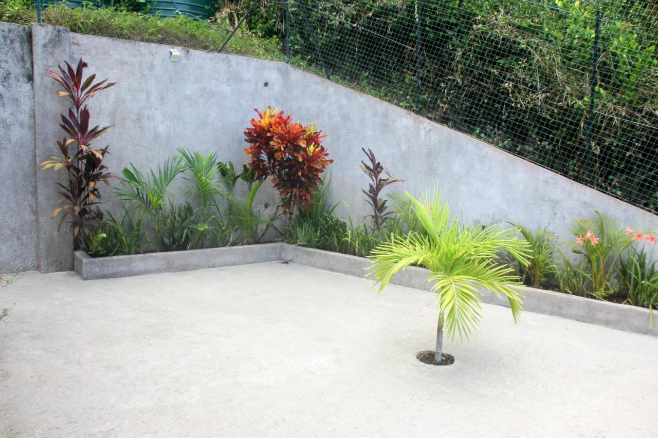 Exotic Guest House Anse Volbert Village 외부 사진